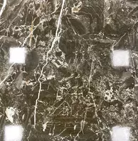 Керамогранитная плитка (глянцевая) "Angran SAS" Cod 5526 C