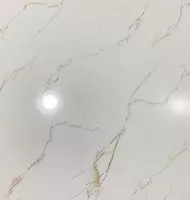 Chinni plitka (porloq) "Angran SAS" Cod 801 C