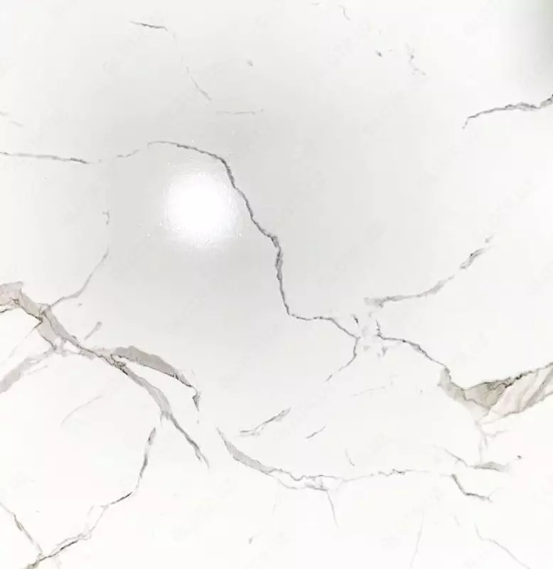 Chinni plitka (porloq) "Angran SAS" Cod 9918 C