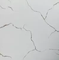 Керамогранитная плитка (матовая) "Thinkerra" А№1014