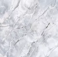 Chinni plitka (mat) "Thinkerra" A№6168