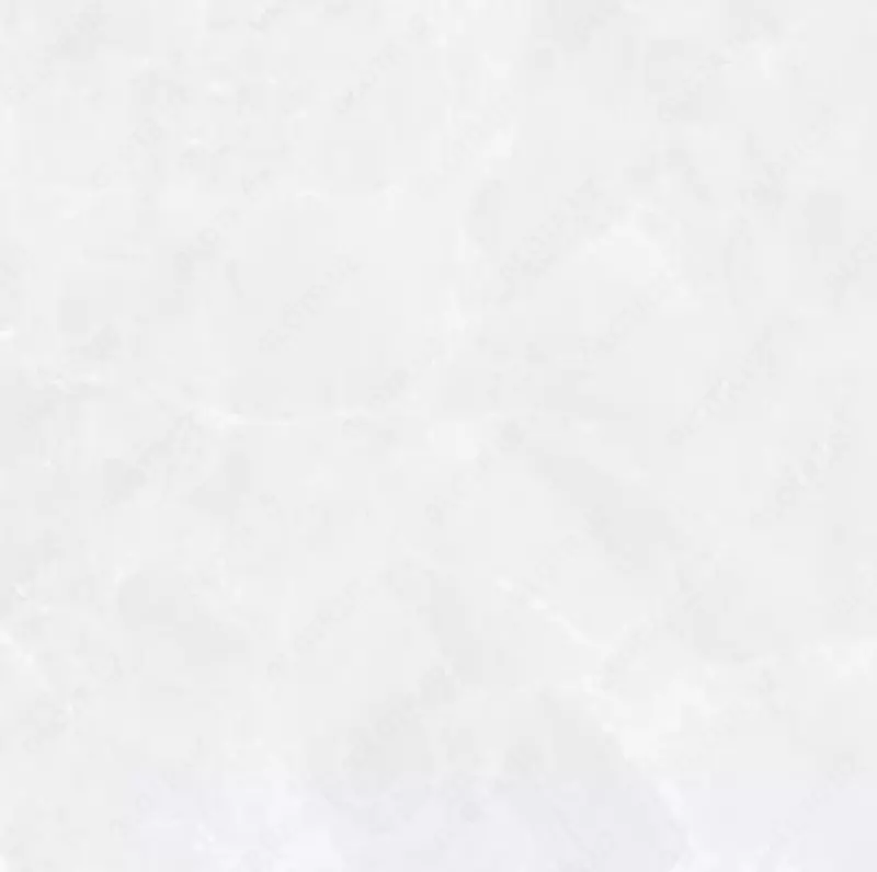 Chinni plitka (mat) "Thinkerra" A№8222