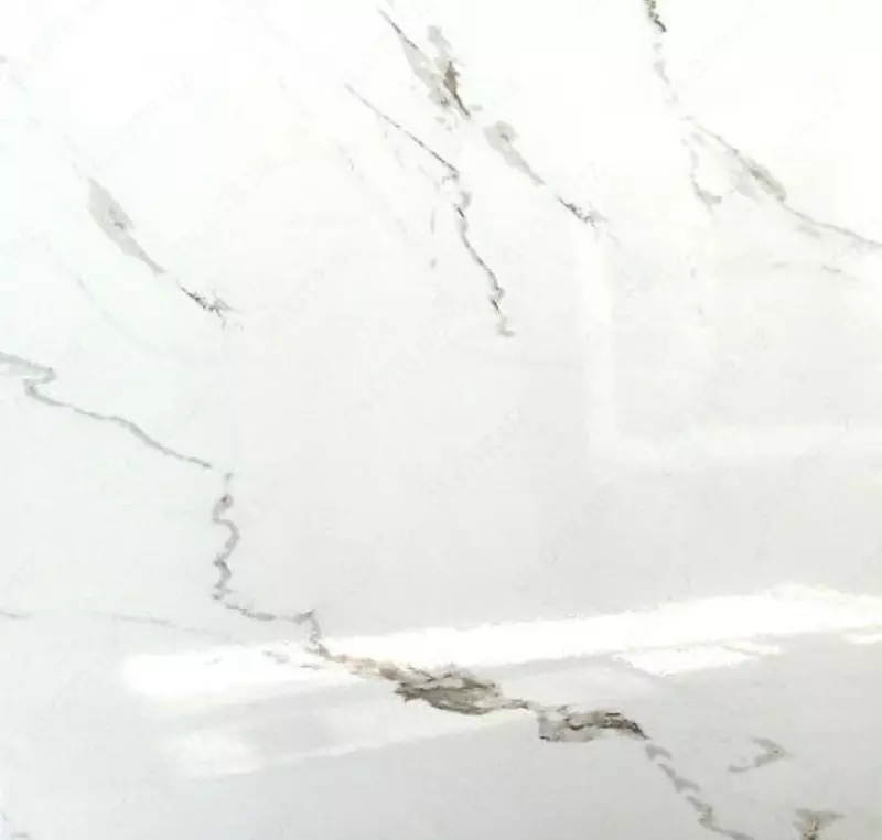 Chinni kafel (porloq) Cod 1657