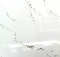 Chinni kafel (porloq) Cod 1657