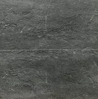 Chinni plitka (mat) "RSC ROCFORD BL"