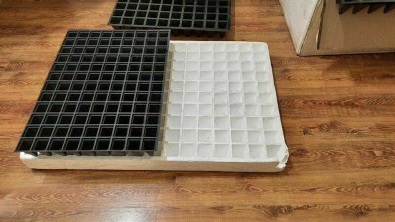 РАССАДНОЙ ПОДДОН