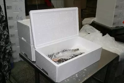 Polyfoam K-17 dan konteyner qadoqlash