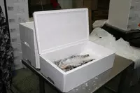 Polyfoam K-17 dan konteyner qadoqlash