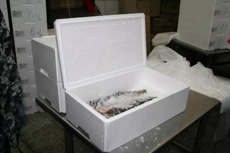 Polyfoam K-17 dan konteyner qadoqlash - {0} so'mdan