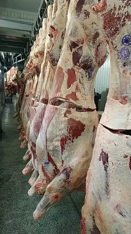 Говядина Халяль (четвертинки) в наличии - от {0} сум