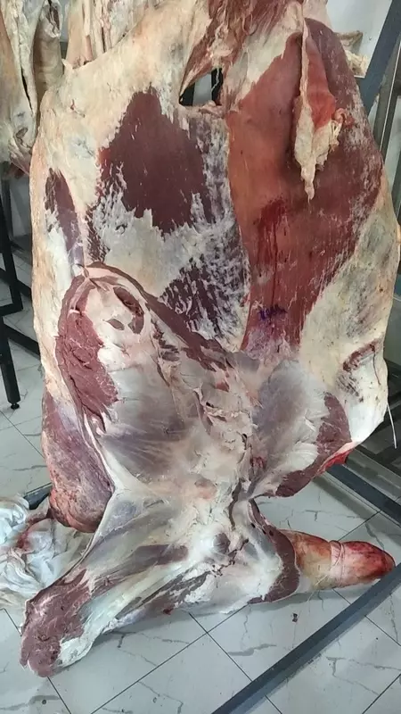 Peredok (halol mol go'shti)