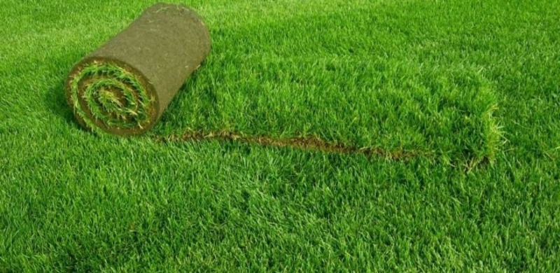 Fasad va binolarni gipslash - по запросу