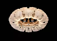 Эксклюзивные люстры от LA KANDIL