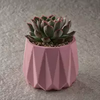 beton ekish zavodi Toshkent