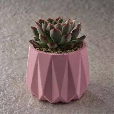 кашпо из бетона Ташкент