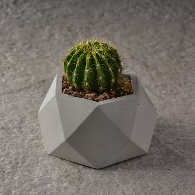 Кашпо из Бетона