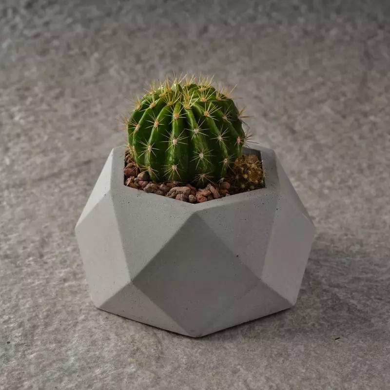 Кашпо из Бетона