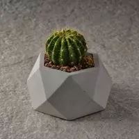 Кашпо из Бетона