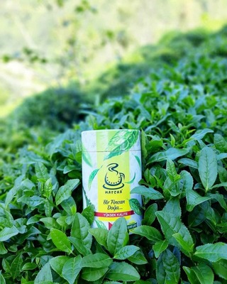 Kilogramm yo'qotish uchun "Matcha" turk choyi