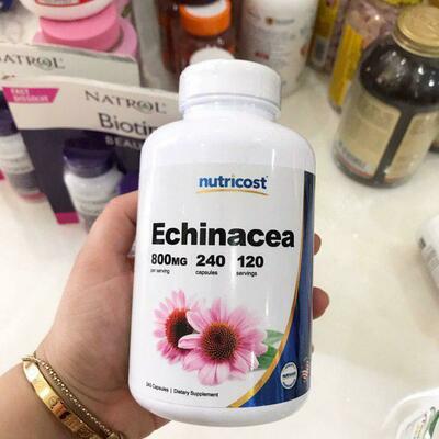 Echinacea Purpurea, Echinacea, Nutricost, 800 mg, 240 kapsulalar