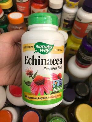 Tabiat yo'li, Echinacea Purpurea, 1200 mg, 100 Vegan kapsulasi