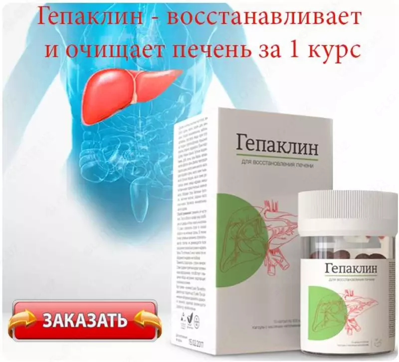 Гепаклин для восстановления печени Medicshop.uz