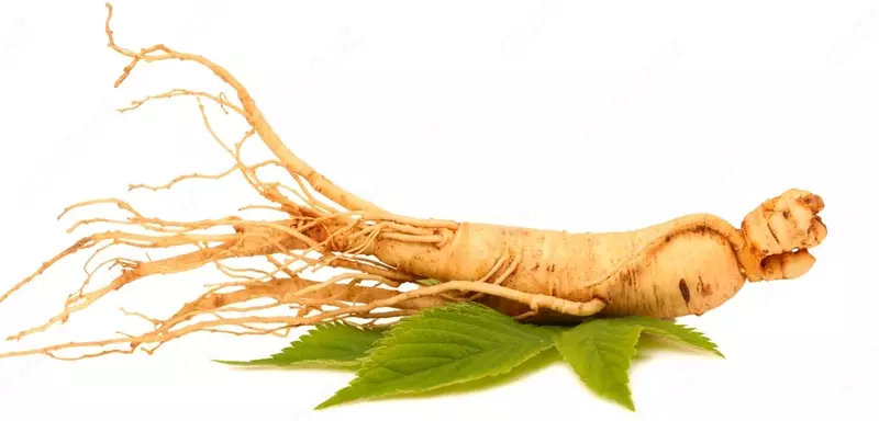Ginseng Sog'liqni saqlash ildizi (60 kapsula)