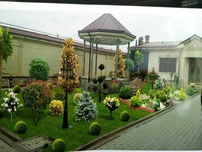 Retro porno filmlar namoyishi