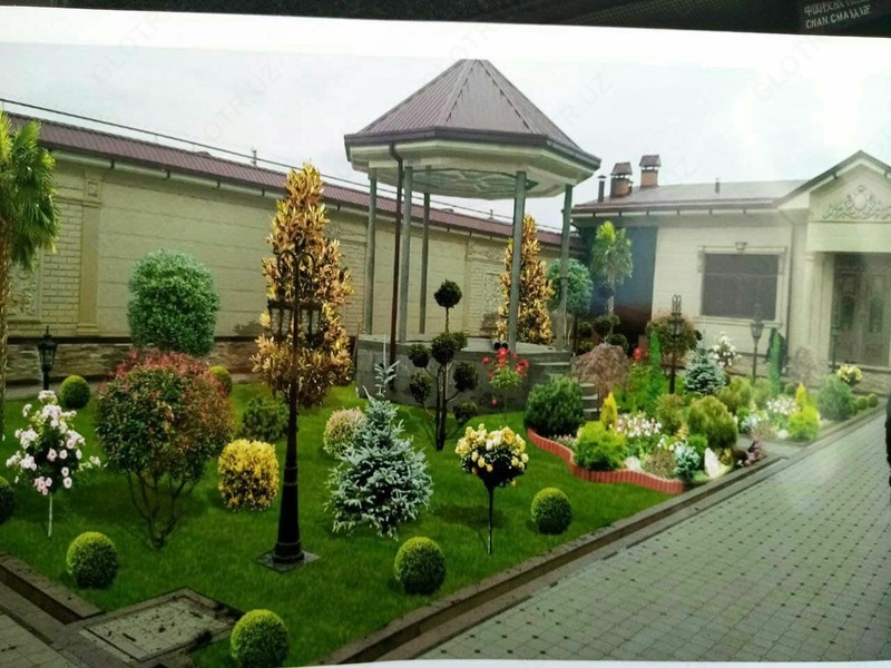 Peyzaj