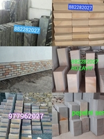 Мраморный сокол