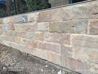 Мраморный сокол - по запросу