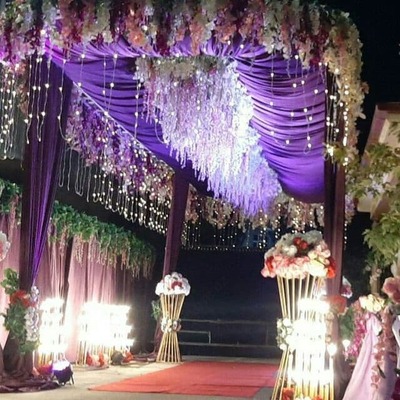 Организация свадеб - Caroluz