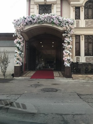 Оформление офисов Caroluz