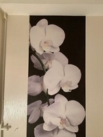 Фотообои вариант №.48 - по запросу