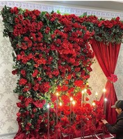 Foto zonasini tashkil qilish