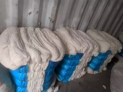 Vata "prima" - Narx so&#039;rov asosida