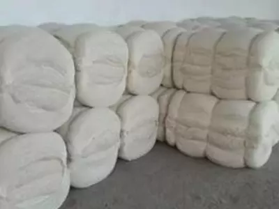 Narx so&#039;rov asosida Vata "prima"