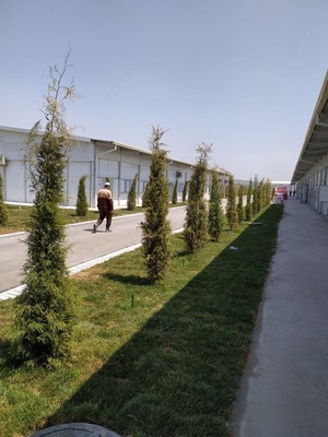 Быстровозводимые здания металлоконструкции и сэндвич панелей под ключ!