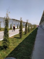 Быстровозводимые здания металлоконструкции и сэндвич панелей под ключ! Монтаж металлоконструкций