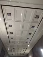 Туникабондом