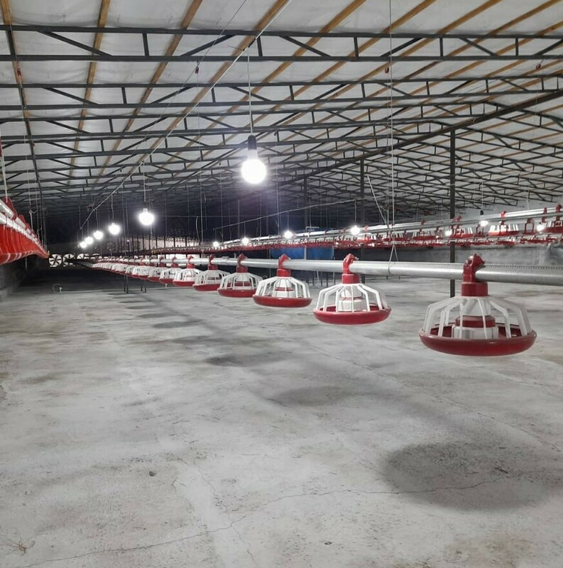 Система контроля (Agro Logic) для куриного цеха - по запросу