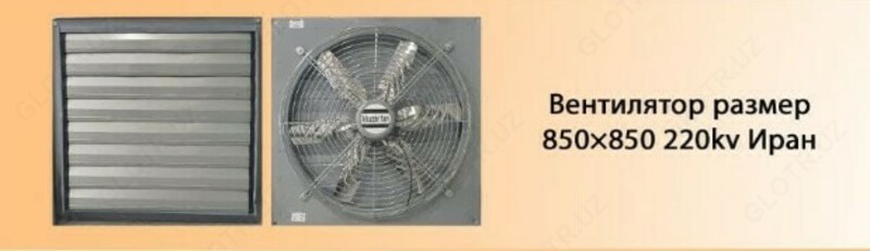 Fan olchami 850х850 220kv Eron tovuq dokoni uchun