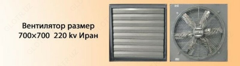 Вентилятор размер 700х700 220kv Иран для куриного цеха