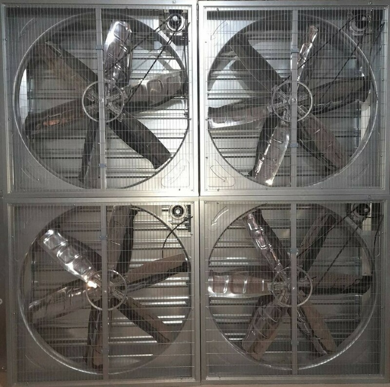  Tovuq dokoni uchun dumaloq fan d 60x60 Xitoy - 