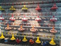 по запросу Tovuq do'koni uchun 5 tonnalik vinch