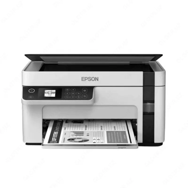 МФУ EPSON M2120