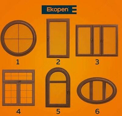 Ekopen oynalar (19-modda)