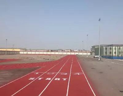  Покрытие RG SPREY (толщина 10–12 мм) Только в розницу
