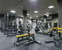 Резиновые плиты "Rubber Max Sport" для тренажерного зала (490 х 490 х 15 мм) Покрытия спортплощадок