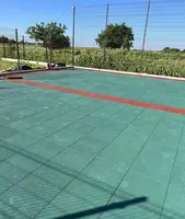 ООО "Rubber Max" - Резиновая плита "Rubber Max Sport" для волейбольной и баскетбольной площадки (1000 х 1000 х 50 мм)